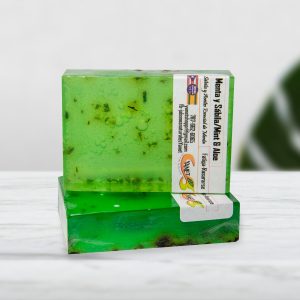Aloe and Mint Soap /Jabón de Sábila y Menta