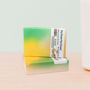 Nagchampa /Nag Champa